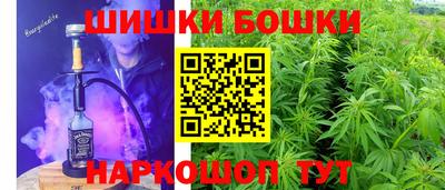 индика Усть-Джегута