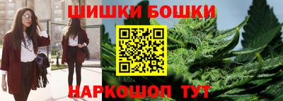 индика Усть-Джегута