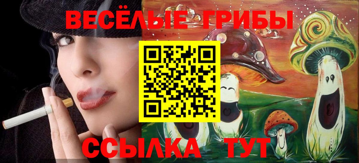 Галлюциногенные грибы мицелий  Вход с VPN  как найти   Сафоново  Галлюциногенные грибы Magic Shrooms 