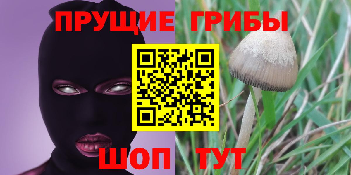 Галлюциногенные грибы мухоморы Сафоново